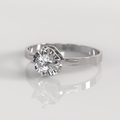 Anillo Chatón - Oro Blanco 18K