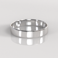Argolla Tubo 4mm • 2g - Plata